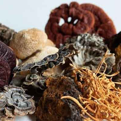 7 Mushroom Tincture image 1